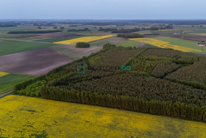 Działka Sprzedaż Mochnate