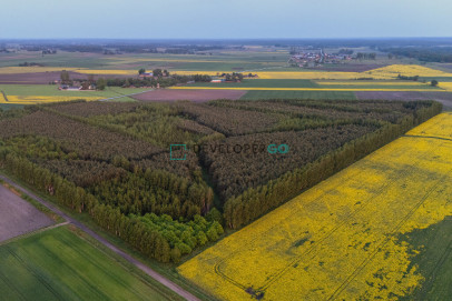 Działka Sprzedaż Mochnate