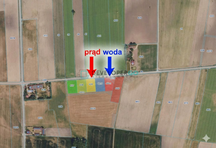 Działka Sprzedaż Kurowo-Kolonia 3