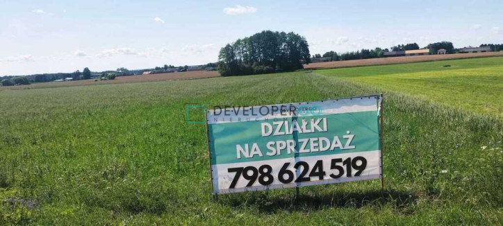 Działka Sprzedaż Kurowo-Kolonia 8