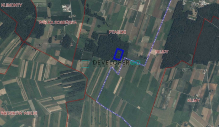 Działka Sprzedaż Ptaszki 2