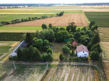 Dom Sprzedaż Wojnów
