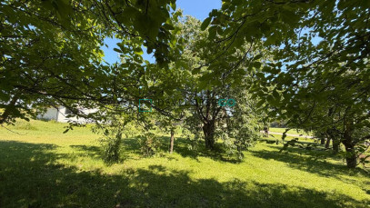 Dom Sprzedaż Jeleniewo Kolonia Jeleniewo (Jeleniewo)