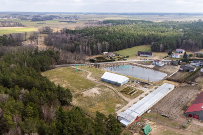 Działka Sprzedaż Dąbrowa-Dzięciel